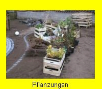 Professionelle Gartenpflege mit passgenauen Pflanzungen